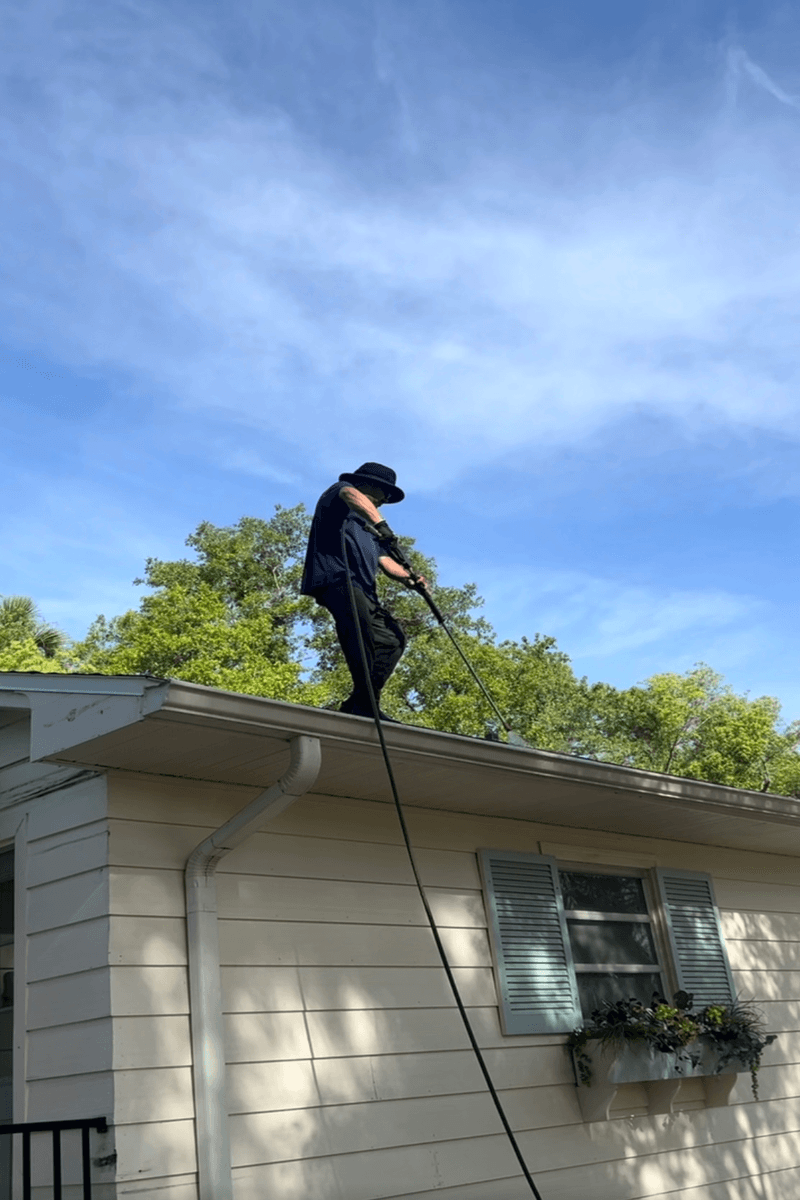 Gutter Cleaning